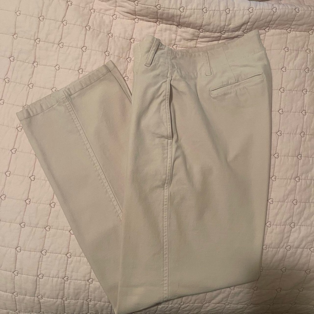 Aritzia Ascendant pant